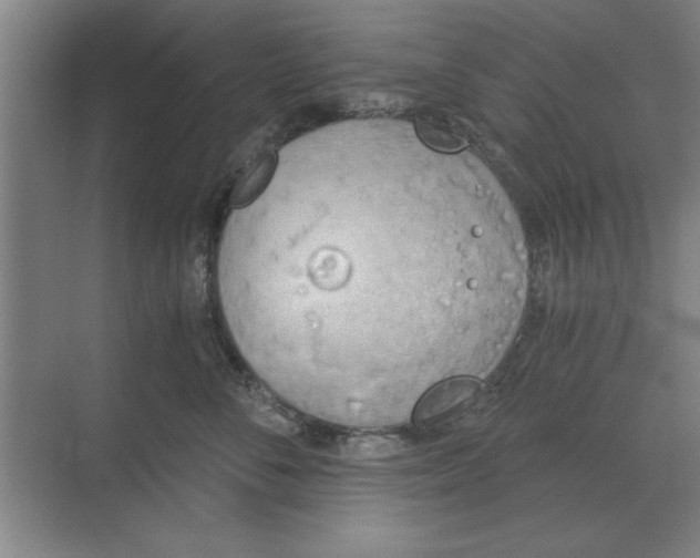 X0000068830716200605191859