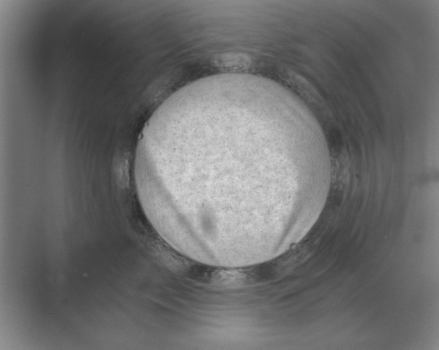 X0000068830717200605191859