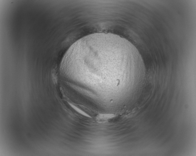 X0000068830719200605191859