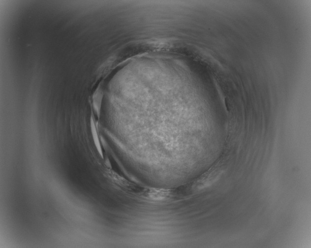 X0000068830720200605191859