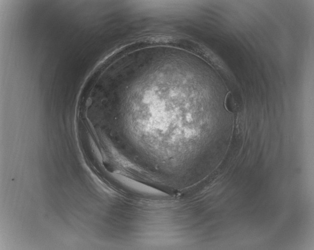 X0000068830722200605191858