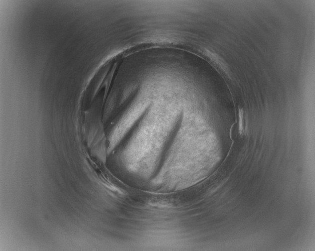 X0000068830723200605191858