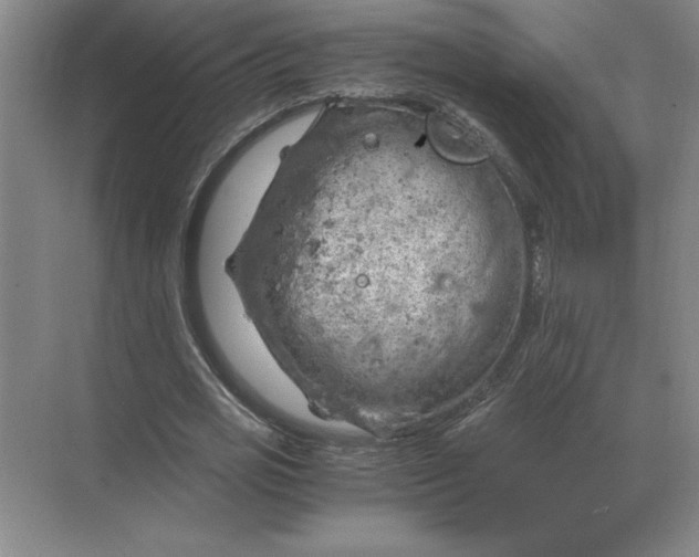 X0000068830725200605191858