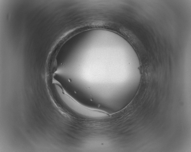 X0000068830728200605191858