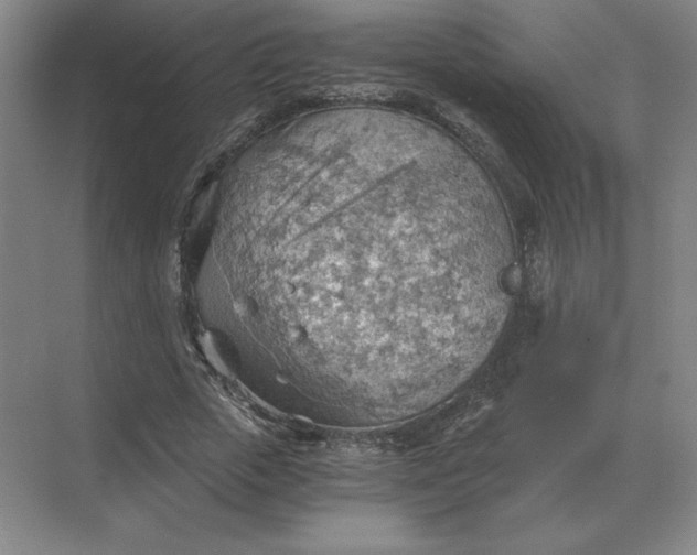 X0000068830729200605191858