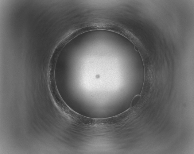 X0000068830730200605191858