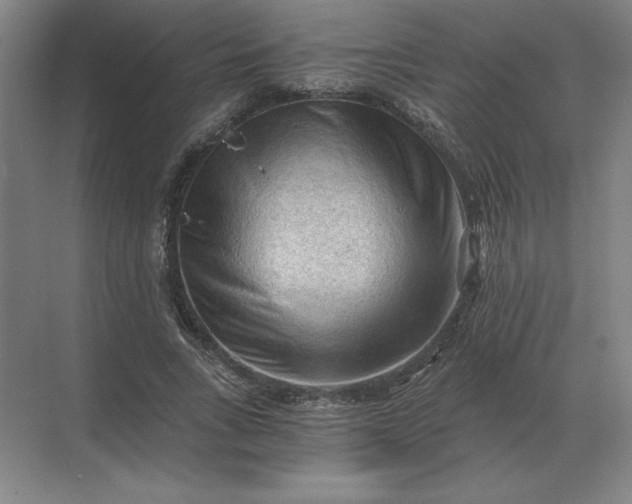 X0000068830735200605191858