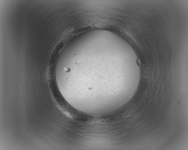 X0000068830738200605191858