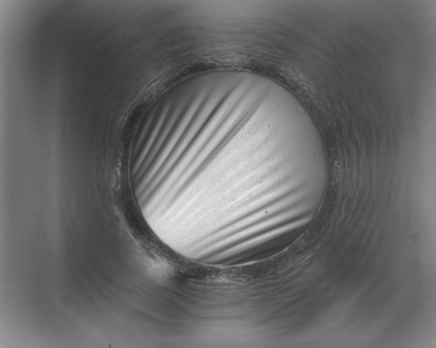 X0000068830739200605191858