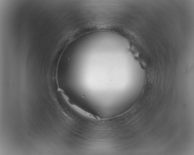 X0000068830740200605191858