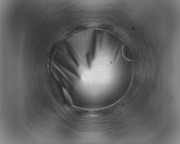 X0000068830743200605191858