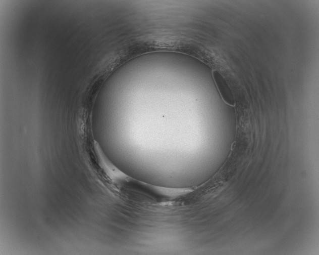 X0000068830744200605191858