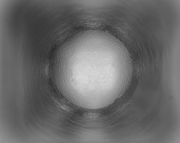 X0000068830745200605191858