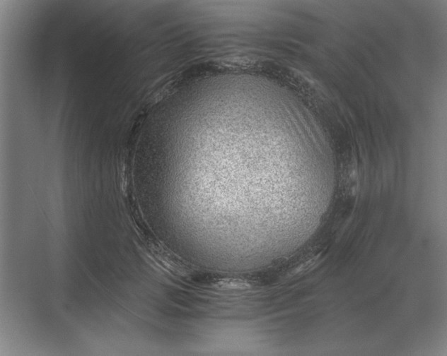 X0000068830749200605191858