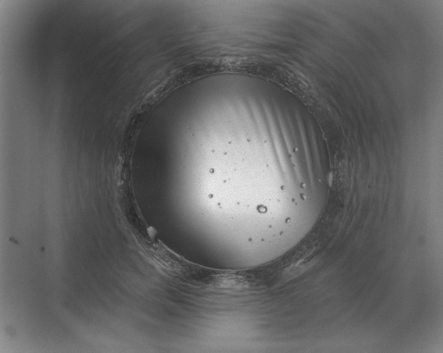 X0000068830750200605191858