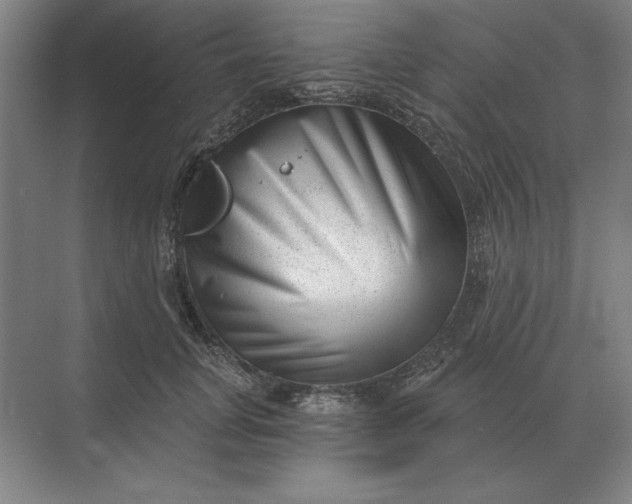 X0000068830751200605191858