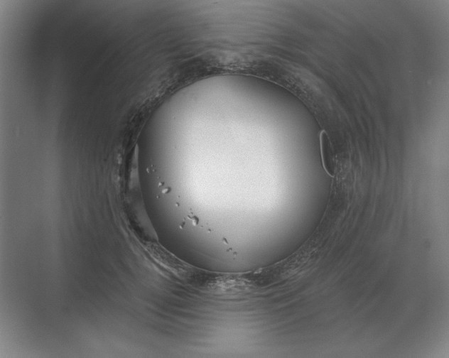 X0000068830752200605191858