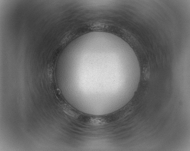 X0000068830753200605191858