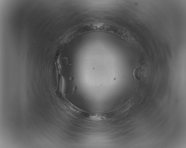 X0000068830754200605191858