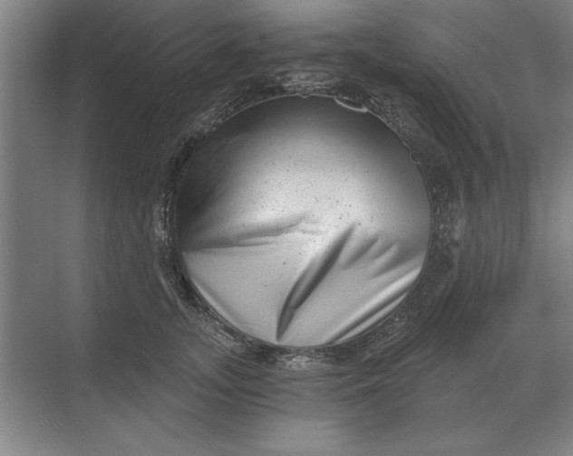 X0000068830755200605191858