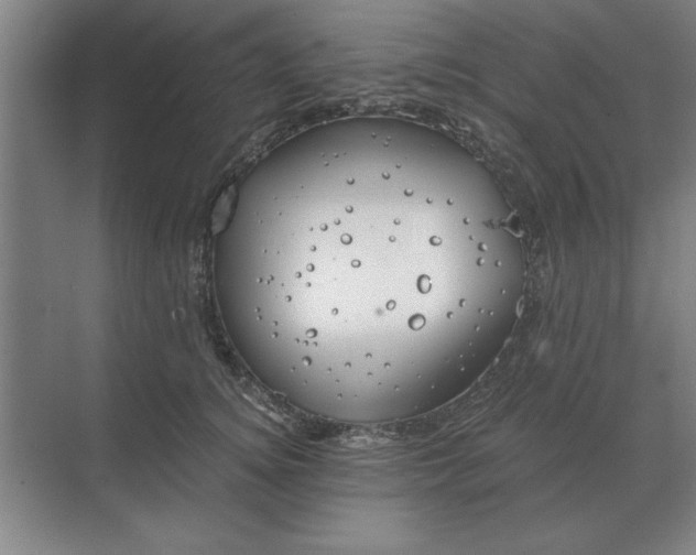 X0000068830756200605191858