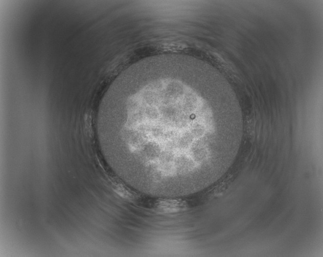 X0000068830757200605191859