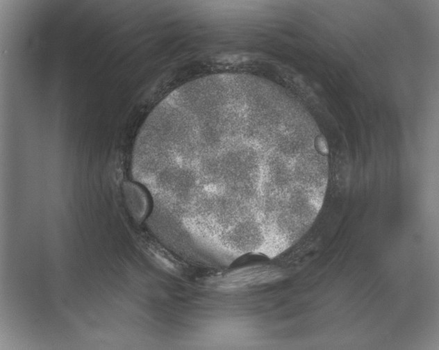 X0000068830758200605191859