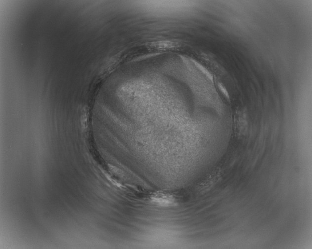 X0000068830760200605191859