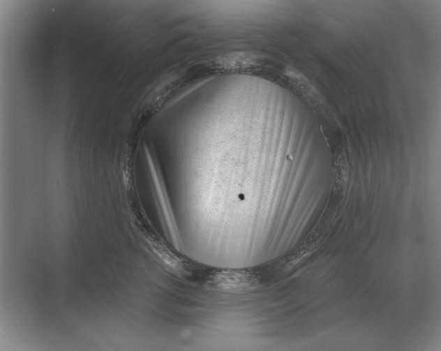 X0000068830762200605191859