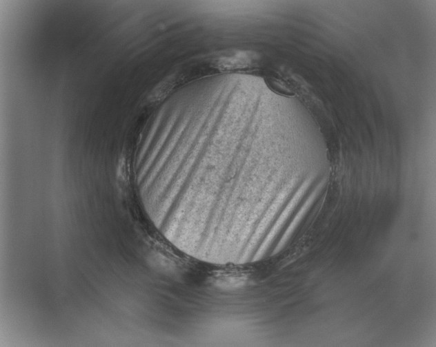 X0000068830763200605191859