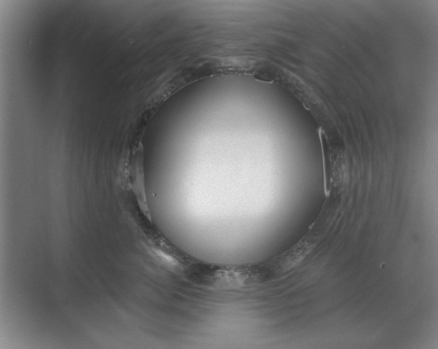 X0000068830764200605191859