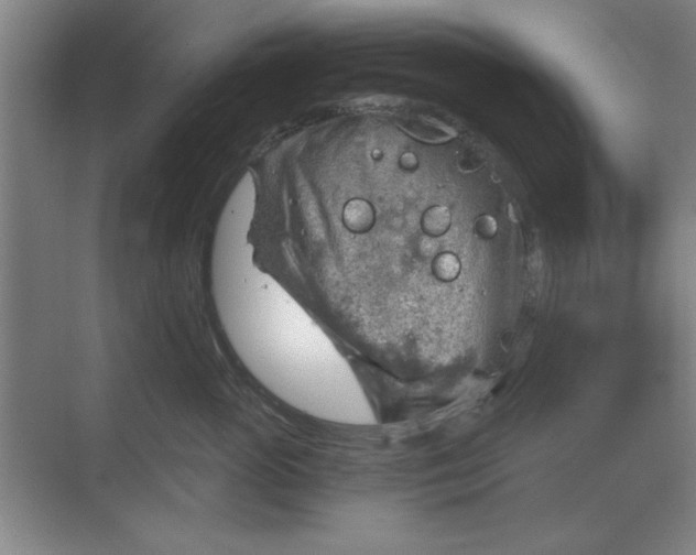 X0000068830765200605191859