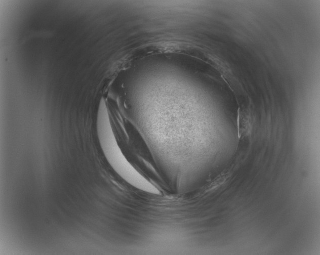 X0000068830766200605191859