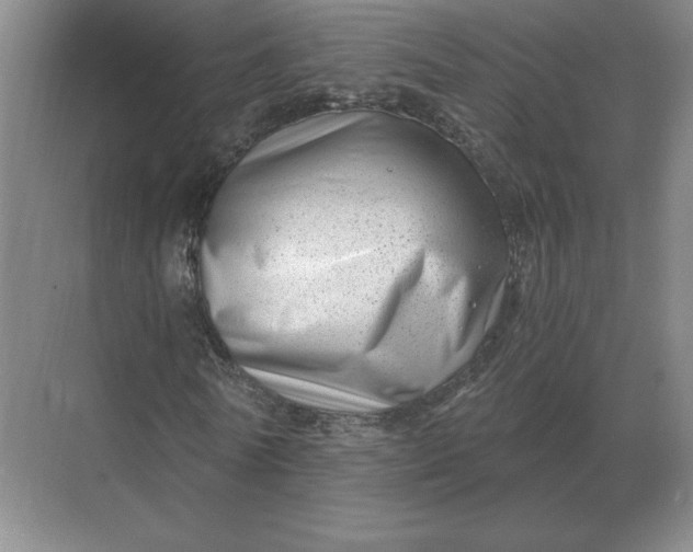 X0000068830770200605191858