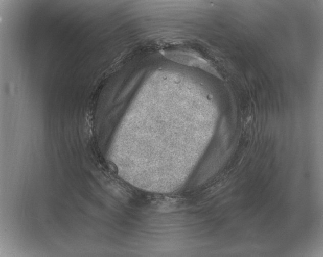 X0000068830772200605191858