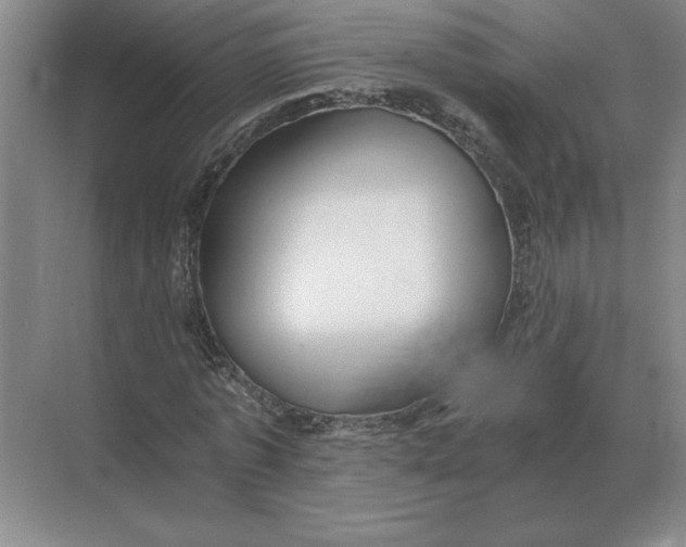 X0000068830773200605191858