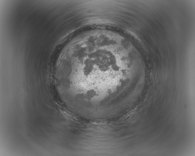 X0000068830775200605191858