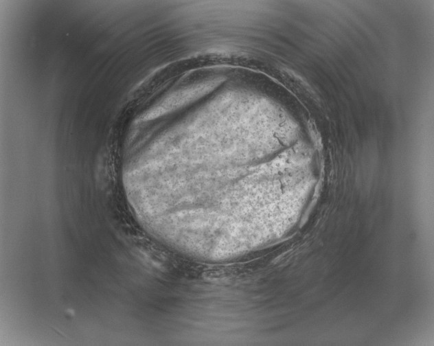 X0000068830776200605191858