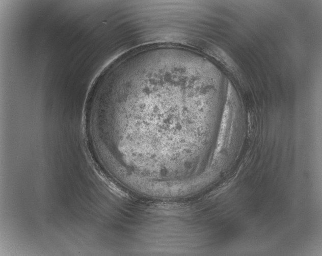 X0000068830780200605191858