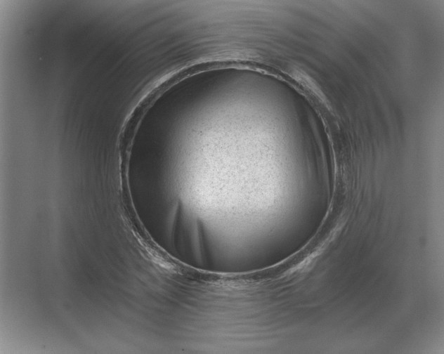 X0000068830781200605191858