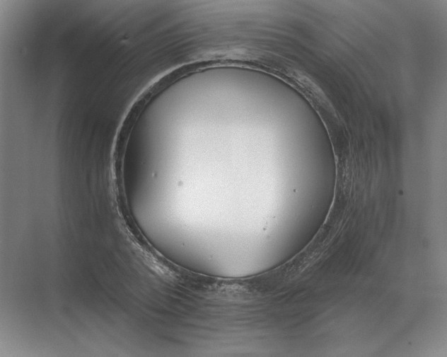 X0000068830784200605191858