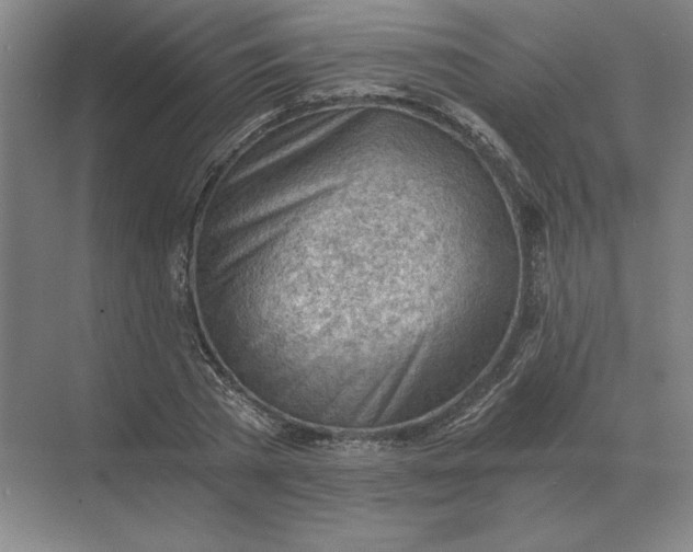 X0000068830785200605191858