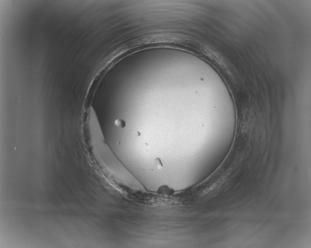 X0000068830786200605191858