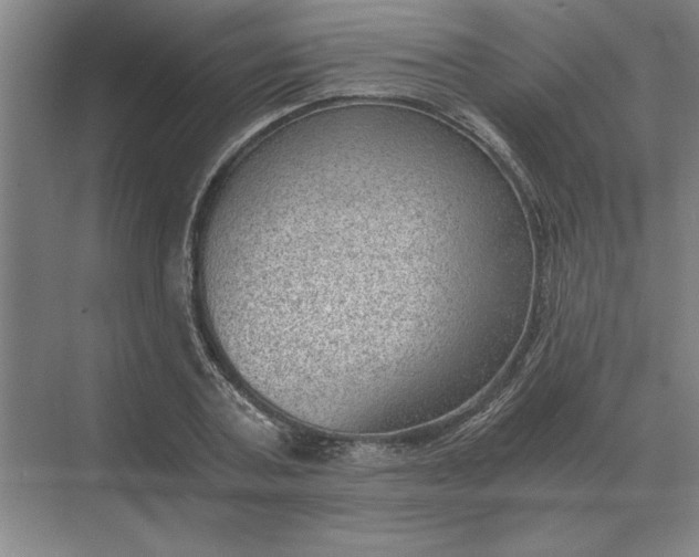 X0000068830787200605191858