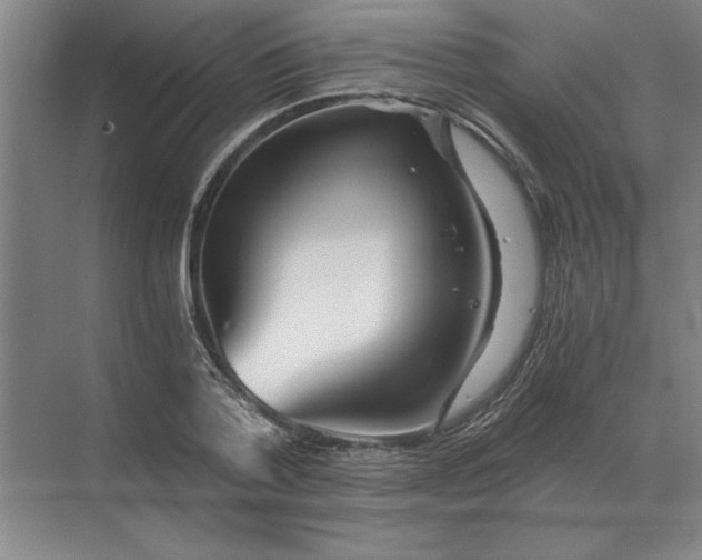 X0000068830788200605191858