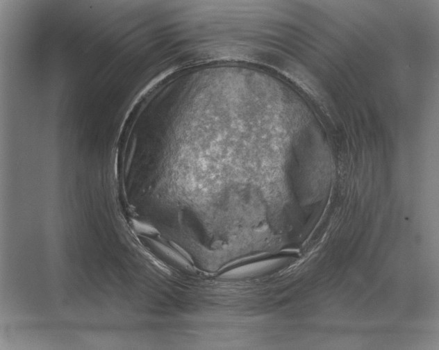 X0000068830790200605191858