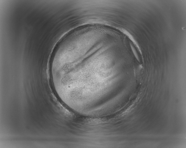 X0000068830791200605191858