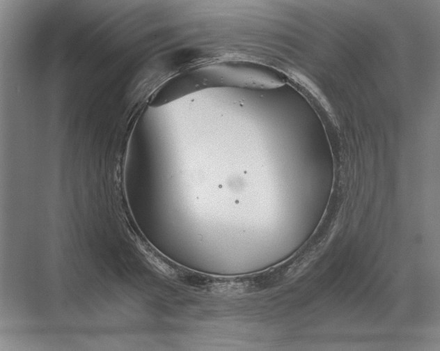 X0000068830793200605191857