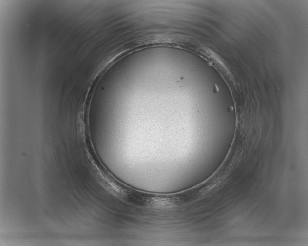 X0000068830794200605191857