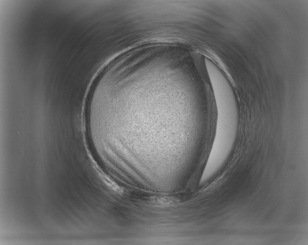 X0000068830795200605191857